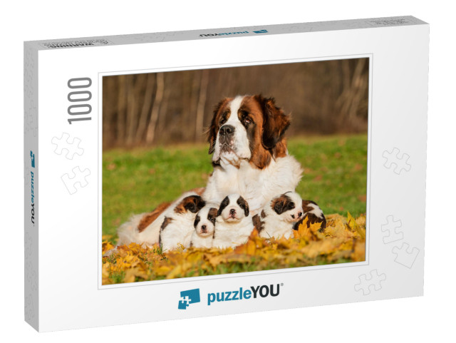 Saint Bernard Dog with Puppies in Autumn... Jigsaw Puzzle with 1000 pieces