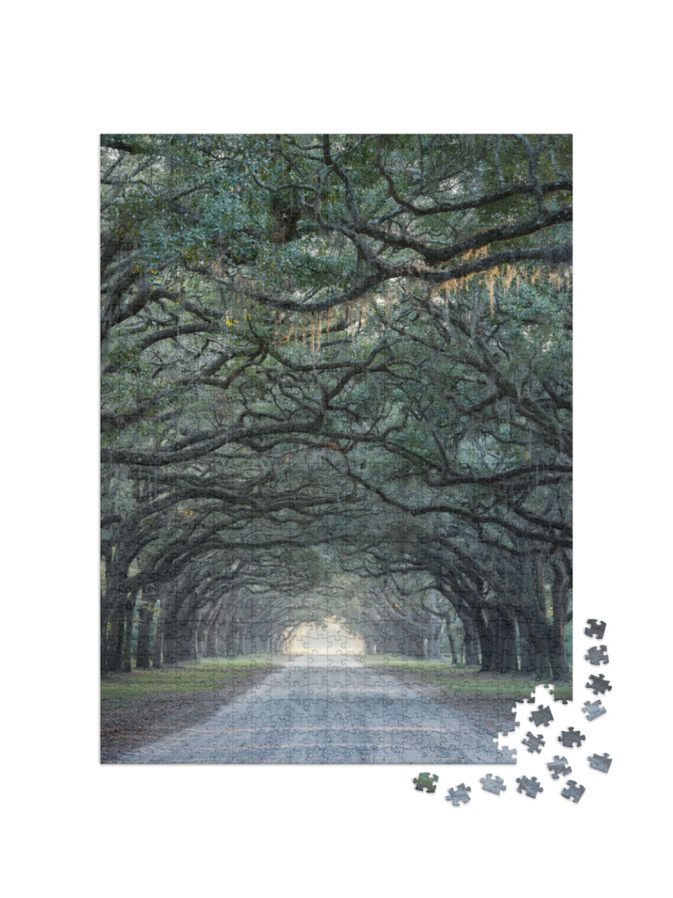 Old Oak Trees Line a Gravel Road in Savannah, Georgia... Jigsaw Puzzle with 1000 pieces