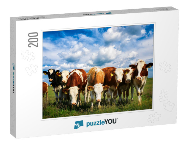 Cows on a Green Summer Meadow... Jigsaw Puzzle with 200 pieces