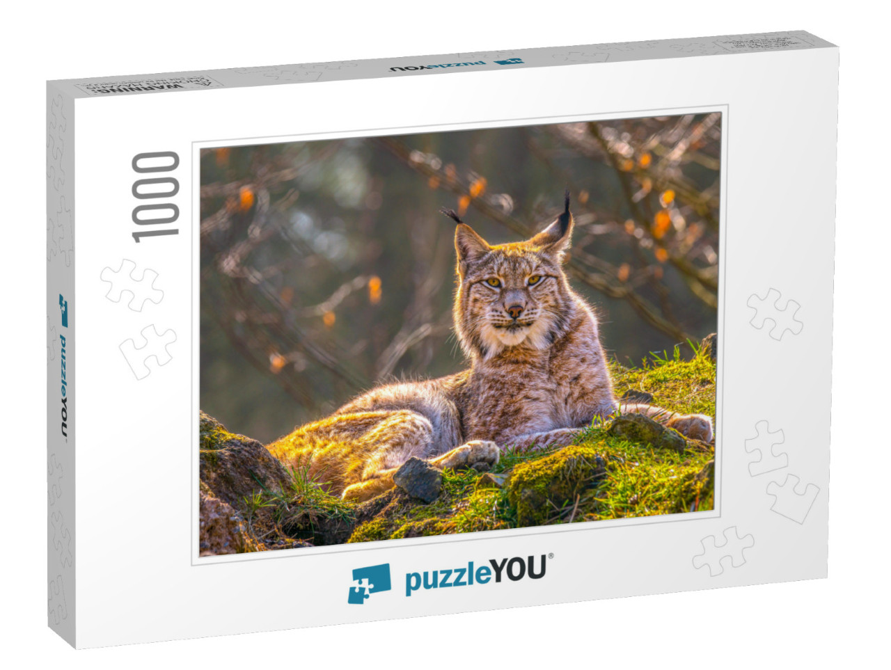 Cute Young Lynx in the Colorful Wilderness Forest... Jigsaw Puzzle with 1000 pieces