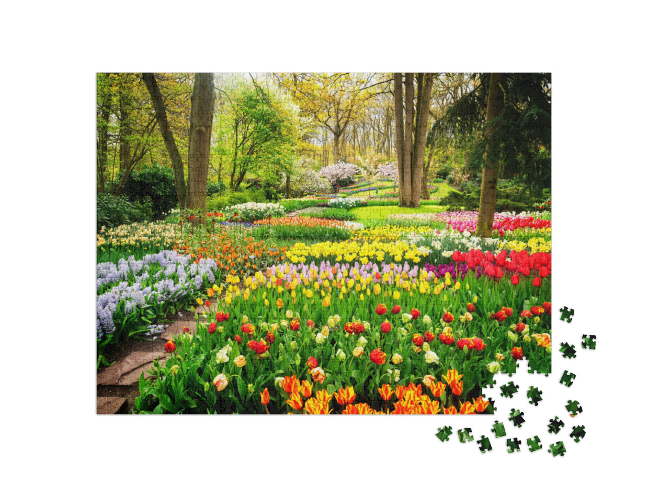 Colorful Tulips Flowerbeds & Path in an Spring Formal Gar... Jigsaw Puzzle with 1000 pieces