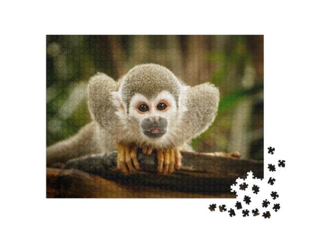 Look At Squirrel Monkey in Ecuadorian Jungle in Amazon... Jigsaw Puzzle with 1000 pieces