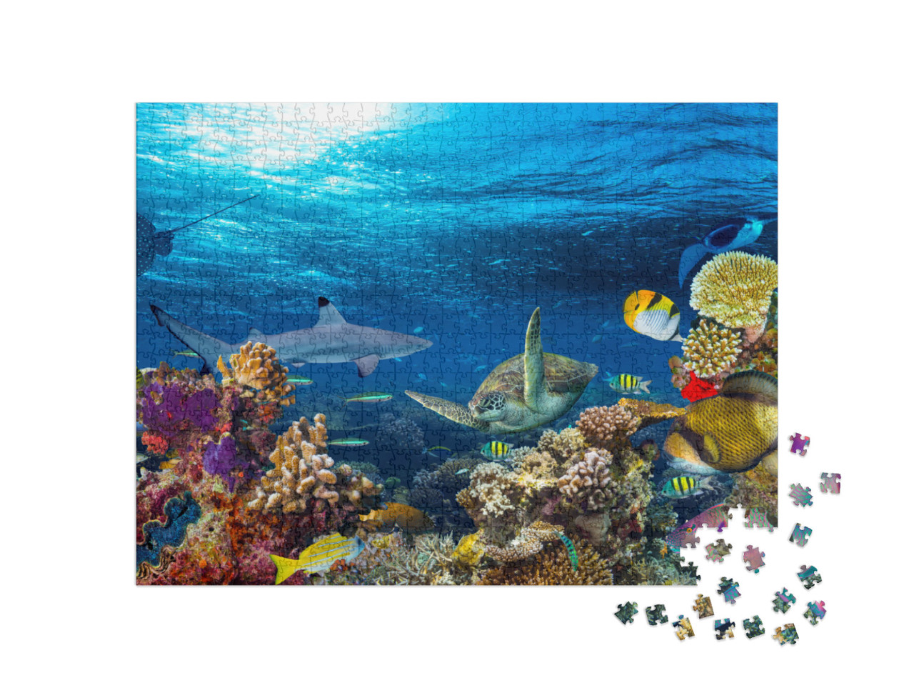 Underwater Coral Reef Landscape 16to9 Background in the D... Jigsaw Puzzle with 1000 pieces