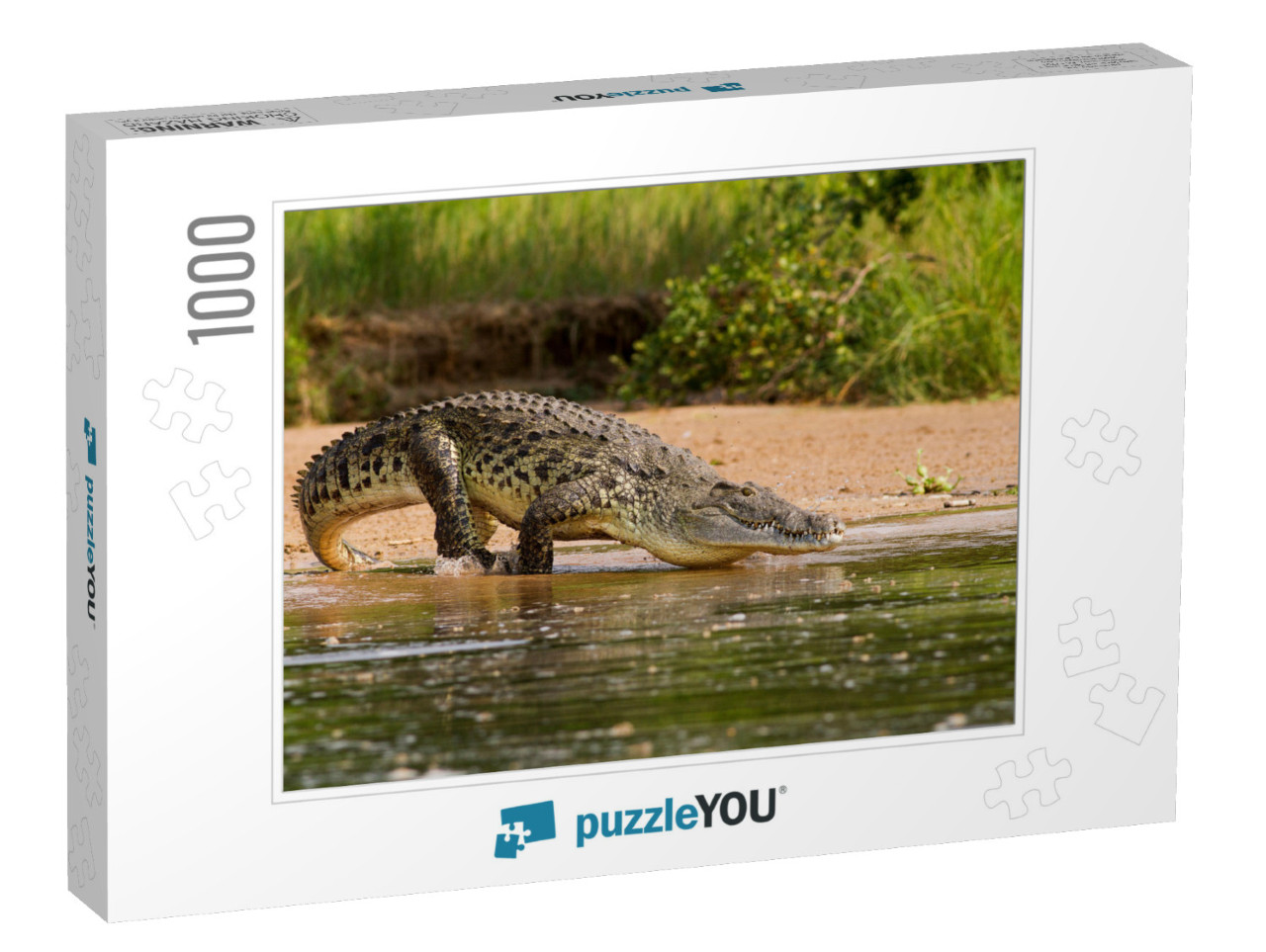 A Nile Crocodile, the Bigger Predator of the Nile River... Jigsaw Puzzle with 1000 pieces