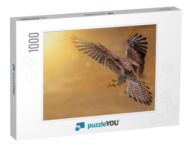 Bird Hunter Common Kestrel European Kestrel Eurasian Kest... Jigsaw Puzzle with 1000 pieces