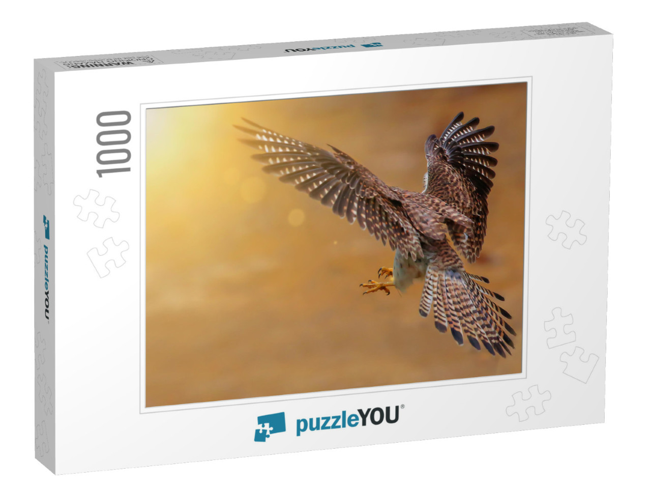 Bird Hunter Common Kestrel European Kestrel Eurasian Kest... Jigsaw Puzzle with 1000 pieces