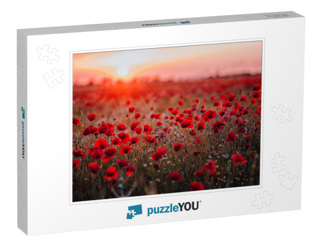 Beautiful Field of Red Poppies in the Sunset Light. Russi... Jigsaw Puzzle