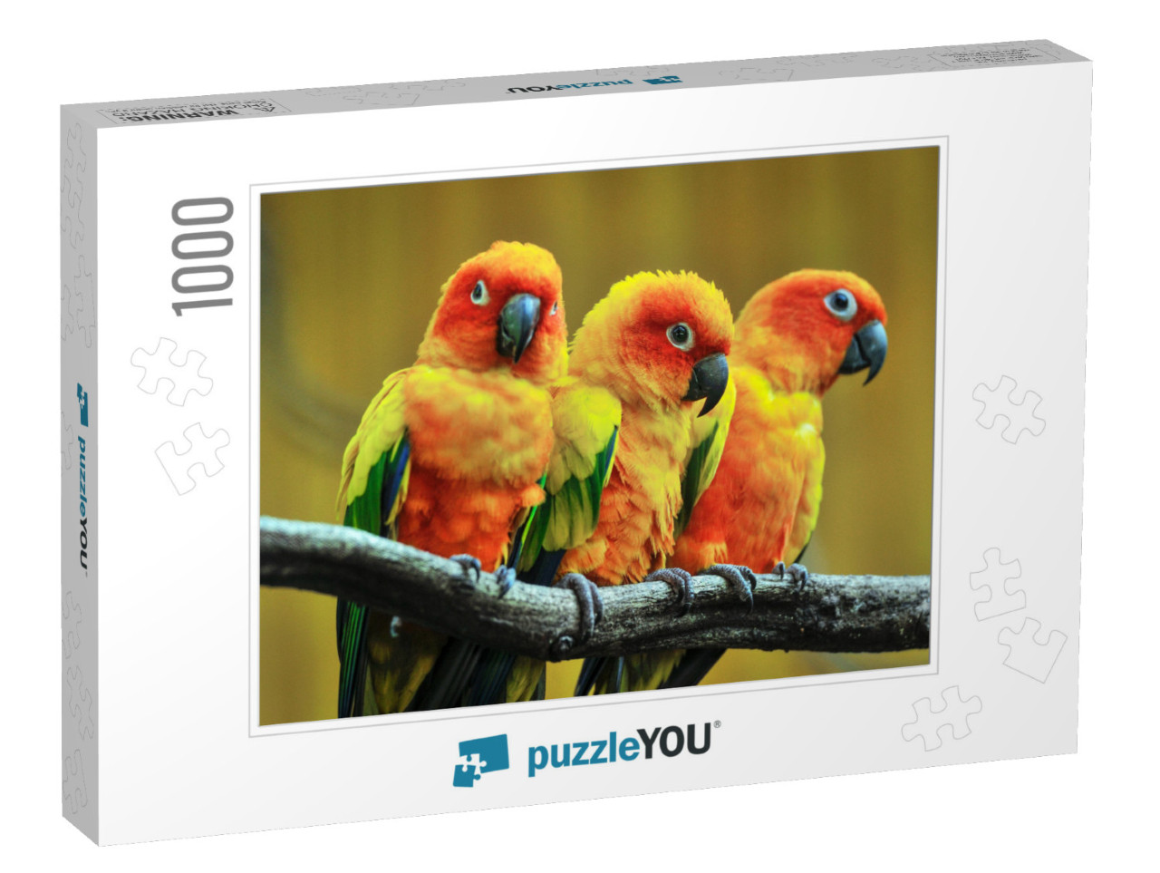 Beautiful Parrot, Sun Conure on Tree Branch... Jigsaw Puzzle with 1000 pieces