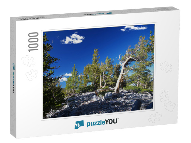 Bristlecone Pines in Great Basin National Park in Nevada_... Jigsaw Puzzle with 1000 pieces