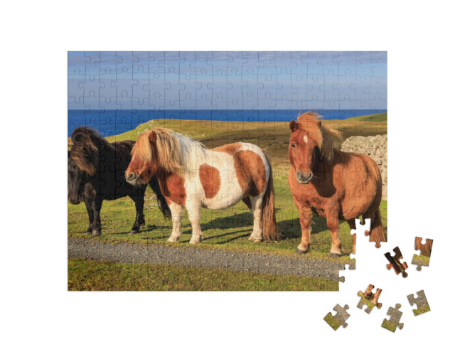 Three Windswept Shetland Ponies, a World Famous Unique &... Jigsaw Puzzle with 200 pieces