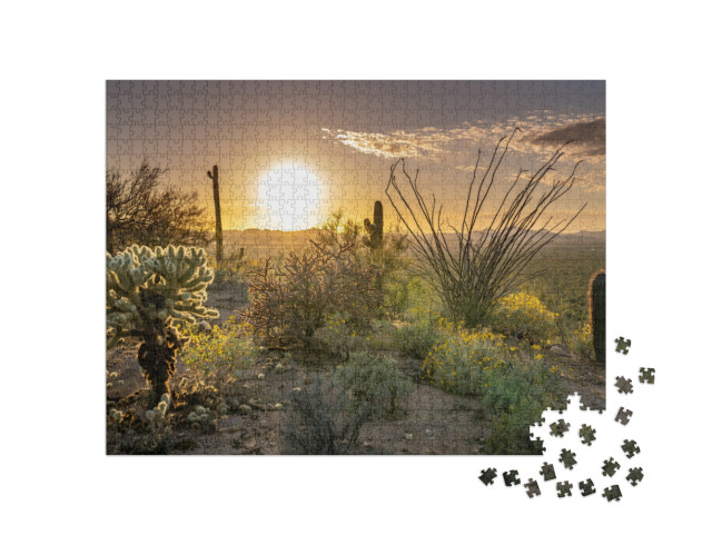 Sunset At Saguaro National Park West... Jigsaw Puzzle with 1000 pieces