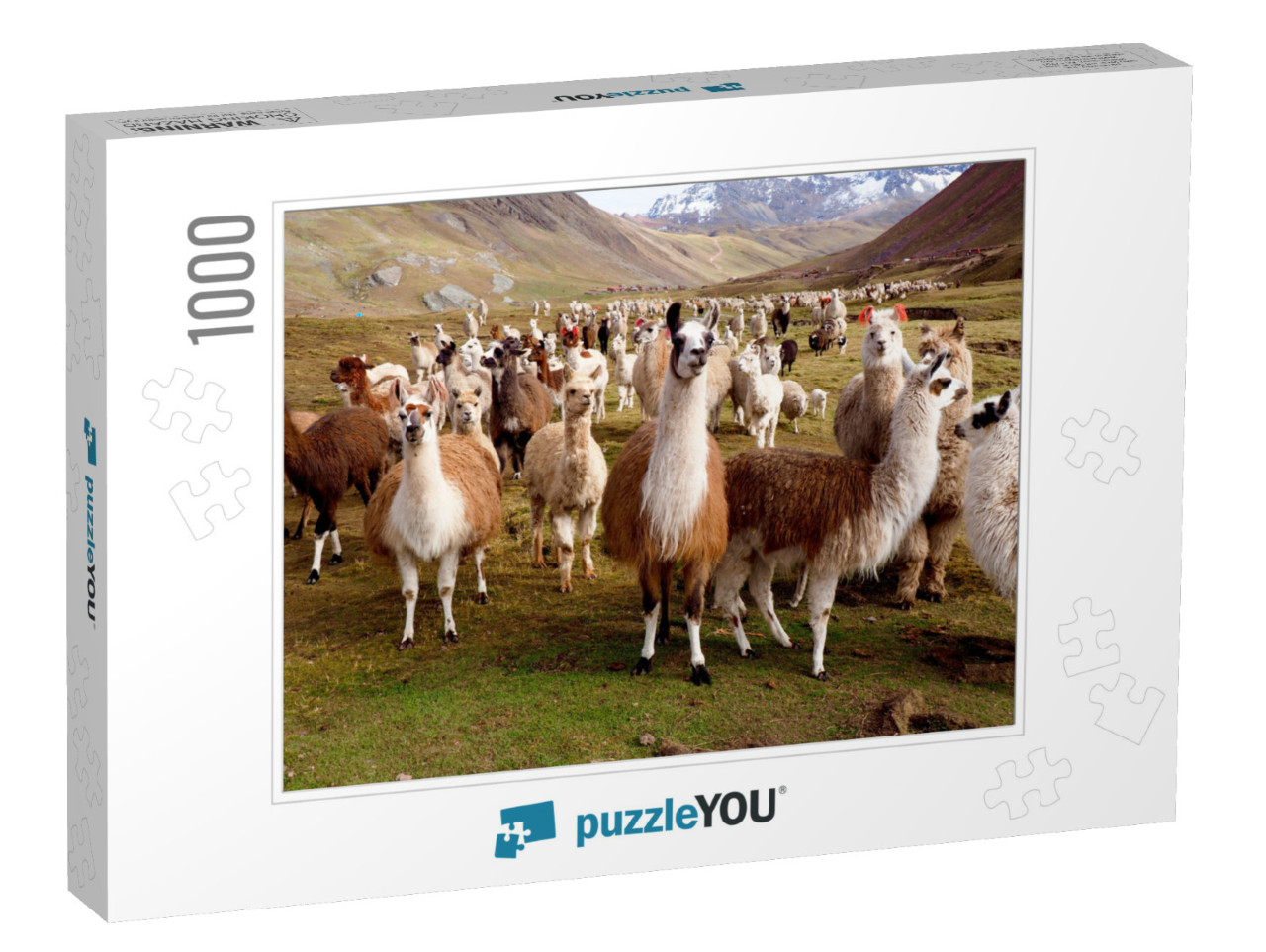 Llamas & Alpacas of Peru... Jigsaw Puzzle with 1000 pieces