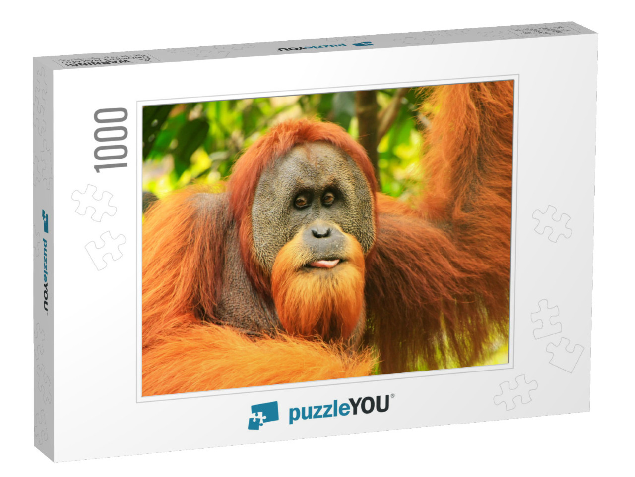 Portrait of Male Sumatran Orangutan Pongo Abelii in Gunun... Jigsaw Puzzle with 1000 pieces