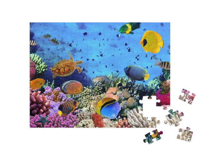 Photo of a Coral Colony, Red Sea, Egypt... Jigsaw Puzzle with 100 pieces