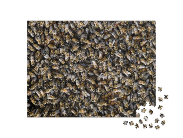 A Dense Cluster of Swarms of Bees in the Nest. Working Be... Jigsaw Puzzle with 1000 pieces