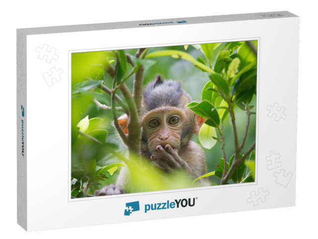 A Cute Monkey Lives in a Natural Forest of Thailand... Jigsaw Puzzle