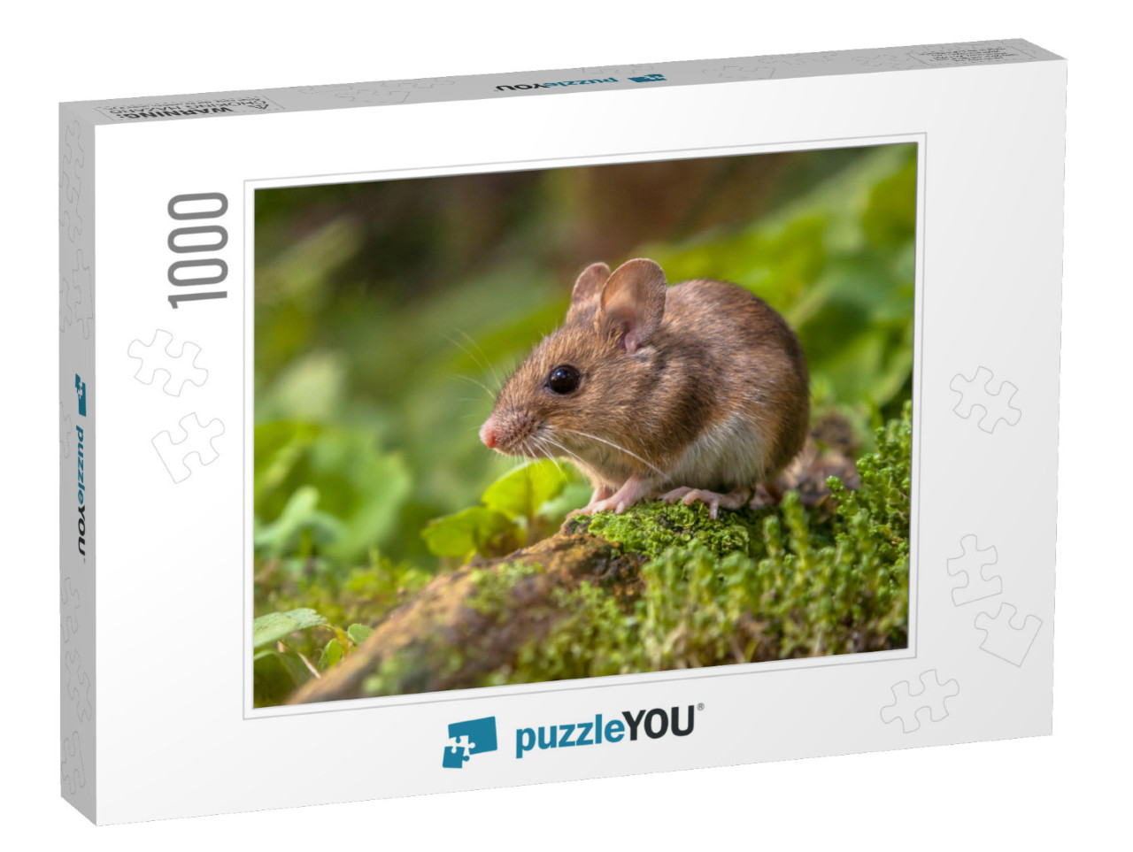 Wild Wood Mouse Resting on a Stick on the Forest Floor wi... Jigsaw Puzzle with 1000 pieces