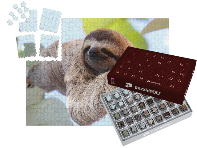 Happy Sloth Hanging on the Tree... | Jigsaw Puzzle Advent Calendar