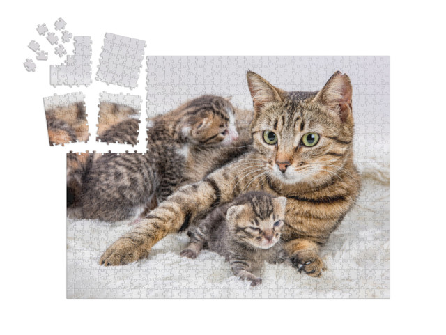 Mom Mother Cat & Baby Cat Kitten... | SMART SORTED® | Jigsaw Puzzle with 1000 pieces