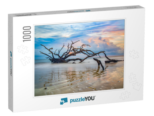 Driftwood Beach Sunrise in Jekyll Island, Georgia, Ga, Us... Jigsaw Puzzle with 1000 pieces