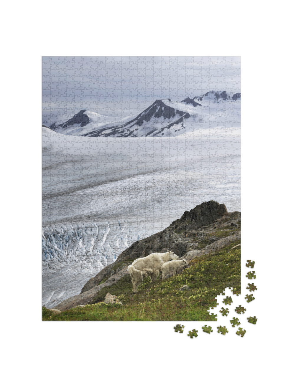 Mountain Goat on the Exit Glacier, Akasaka, Usa... Jigsaw Puzzle with 1000 pieces