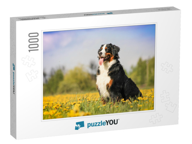 Happy Bernese Mountain Dog in Beautiful Spring Flowered F... Jigsaw Puzzle with 1000 pieces