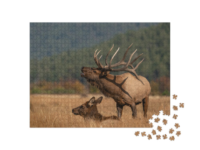 Wild Elk in the West... Jigsaw Puzzle with 1000 pieces