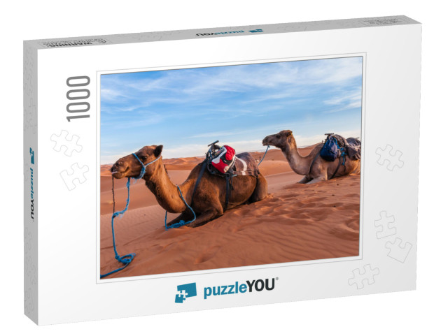 Camel Caravan in the Sahara of Morocco... Jigsaw Puzzle with 1000 pieces