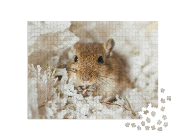 Mongolian Gerbils Meriones as a Pet... Jigsaw Puzzle with 1000 pieces