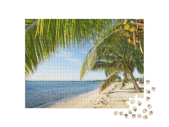 Beach Palm & Turquoise Sea At Playa Larga Near Bay of Pig... Jigsaw Puzzle with 1000 pieces