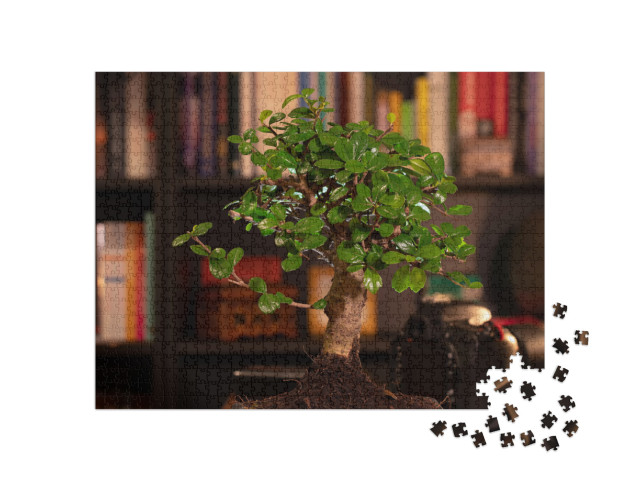 High Quality Photo, Bonsai Tree in the Study, Background... Jigsaw Puzzle with 1000 pieces