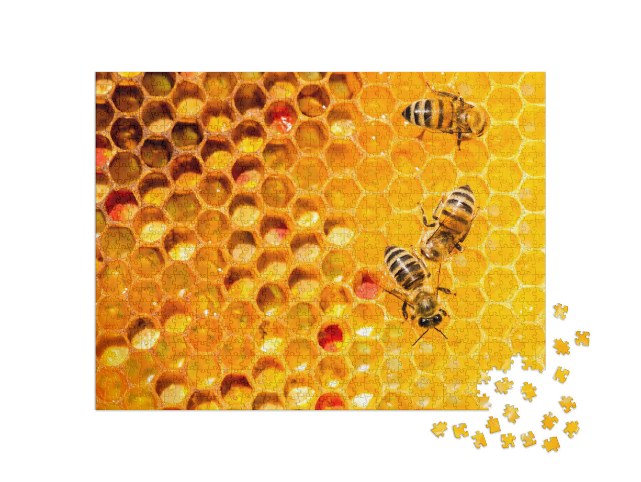 Closeup of Bees on Honeycomb in Apiary - Selective Focus... Jigsaw Puzzle with 1000 pieces