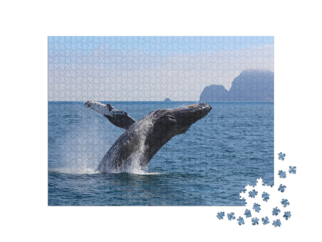 Humpback Whale Breaching Kenai Fjords National Park Alask... Jigsaw Puzzle with 1000 pieces