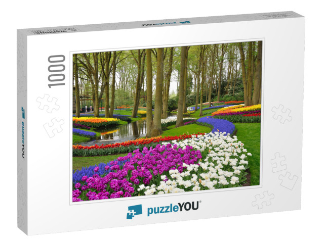 Colorful Blooming Tulips in Keukenhof Park in Holland... Jigsaw Puzzle with 1000 pieces