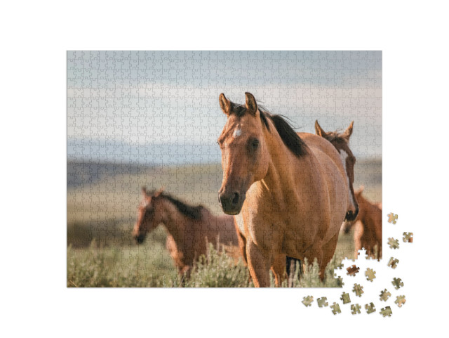 Beautiful Herd of American Quarter Horse Ranch Horses in... Jigsaw Puzzle with 1000 pieces