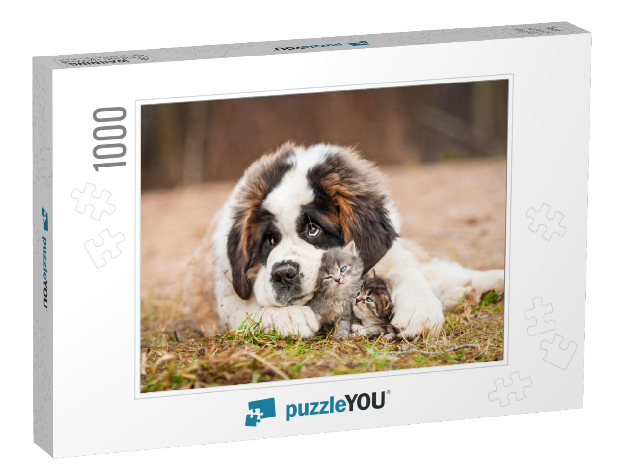 Saint Bernard Puppy with Little Kittens... Jigsaw Puzzle with 1000 pieces