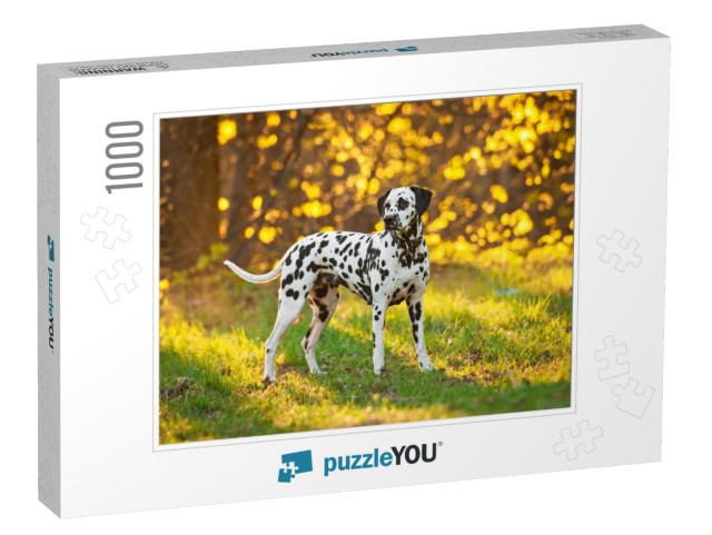 Dalmatian Dog At Sunset... Jigsaw Puzzle with 1000 pieces