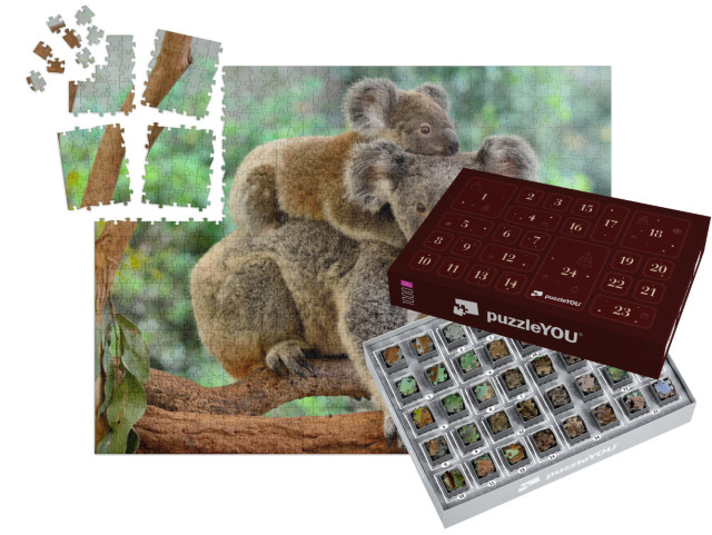 Mother Koala with Baby on Her Back, on Eucalyptus Tree... | Jigsaw Puzzle Advent Calendar