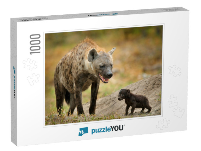 Young Hyena Pup, Mammal Behavior. Hyena, Detail Portrait... Jigsaw Puzzle with 1000 pieces