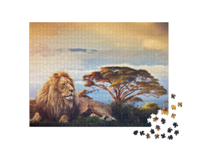 Lion Lying in Grass on Savanna. Sunset Over Mount Kiliman... Jigsaw Puzzle with 1000 pieces