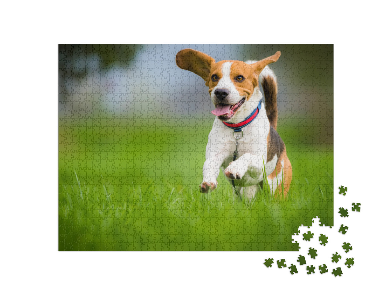 Dog Beagle Running & Jumping with Tongue Out Through Gree... Jigsaw Puzzle with 1000 pieces