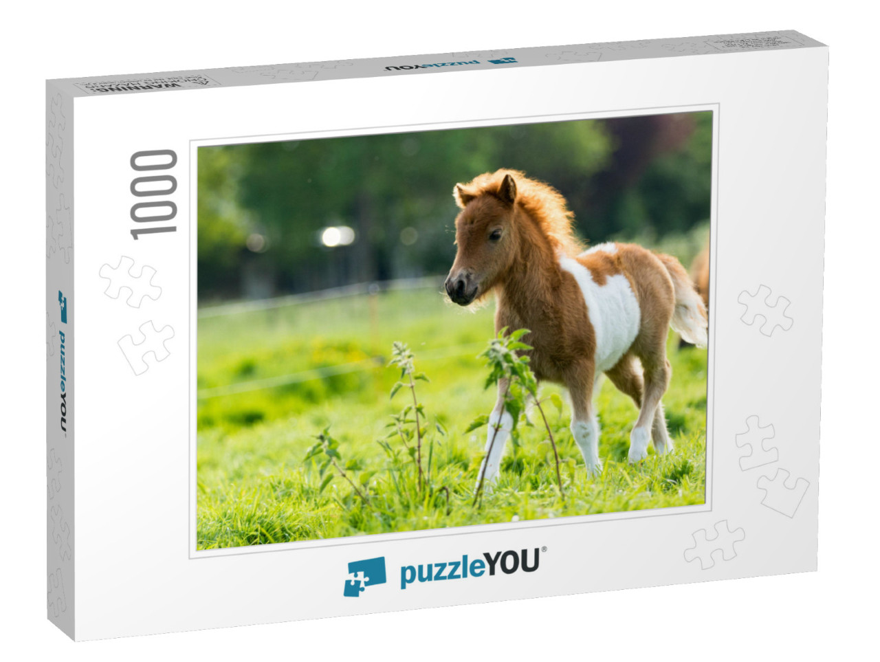 Cute Shetland Foal Walking Through the Meadow, Exploring... Jigsaw Puzzle with 1000 pieces