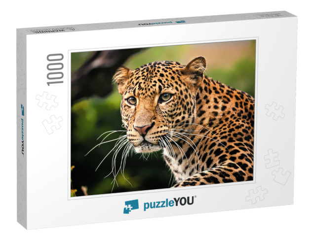 The Portrait of Javan Leopard... Jigsaw Puzzle with 1000 pieces