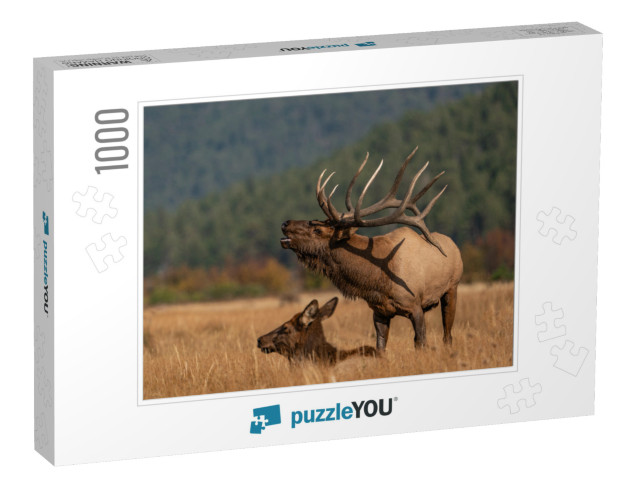 Wild Elk in the West... Jigsaw Puzzle with 1000 pieces