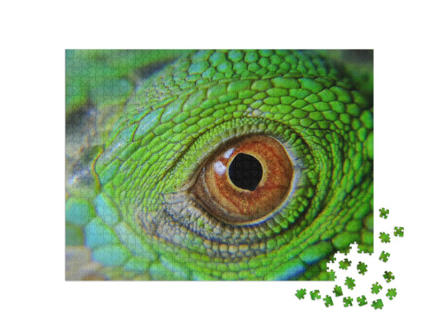 Chameleons Are a Special Designation for Various Types of... Jigsaw Puzzle with 1000 pieces