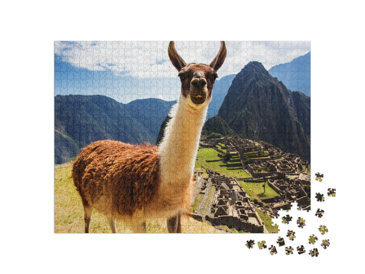 Lama At Machu Picchu, Incas Ruins in the Peruvian Andes A... Jigsaw Puzzle with 1000 pieces