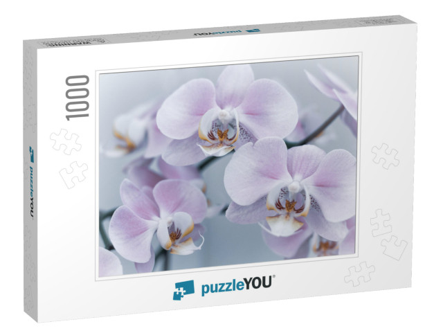 Beautiful Delicate Orchid Flowers Shot in Soft Light... Jigsaw Puzzle with 1000 pieces