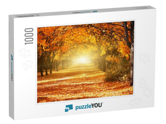 Beautiful Romantic Alley in a Park with Colorful Trees &... Jigsaw Puzzle with 1000 pieces