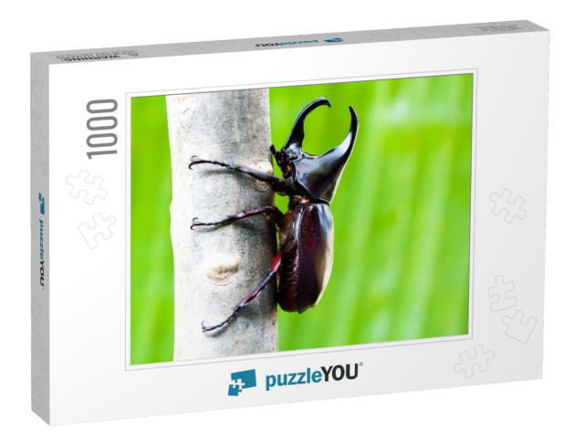 Male Rhinoceros Beetle, Rhino Beetle, Hercules Beetle, Un... Jigsaw Puzzle with 1000 pieces