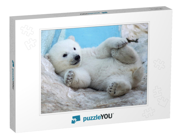 A Polar Bear Cub Lies in the Snow on Its Back... Jigsaw Puzzle